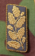 fry15s.jpg (4044 bytes)