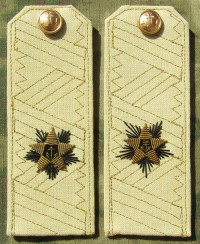 radsb6s.jpg (55263 bytes)