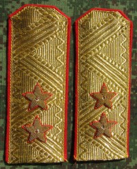 rgsb20s.jpg (57248 bytes)