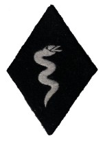 rse200s.jpg (4176 bytes)