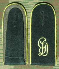 rse242dgs.jpg (3278 bytes)