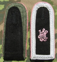 rse380s.jpg (4176 bytes)