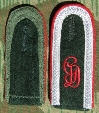 rse491s.jpg (3278 bytes)