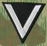 rse556s.jpg (2767 bytes)