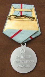 rsm1bs.jpg (41894 bytes)