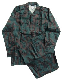 sa1s.jpg (49974 bytes)