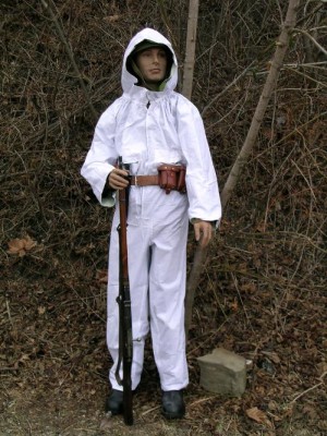 scs13ws.jpg (6783 bytes)