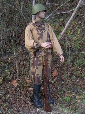 scs4as.jpg (5884 bytes)