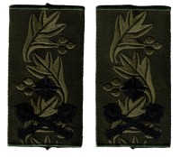 uksb4s.jpg (55030 bytes)